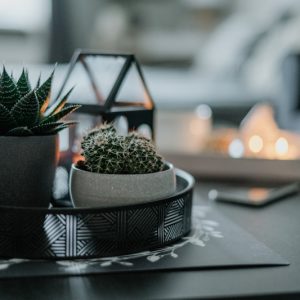 מגש קקטוס מעוצב